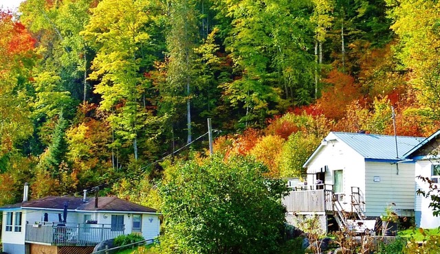 Silver Springs Cottage Resort