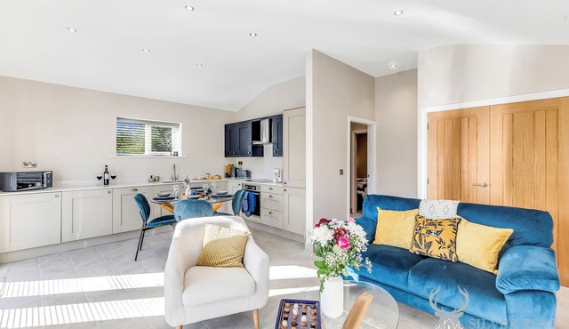 Silver Stag Properties, Luxury Cabin w/SK Bed