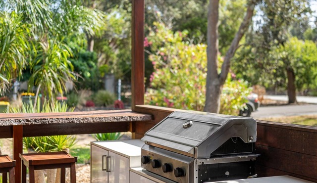 Silverleaves Sensation At The Beach