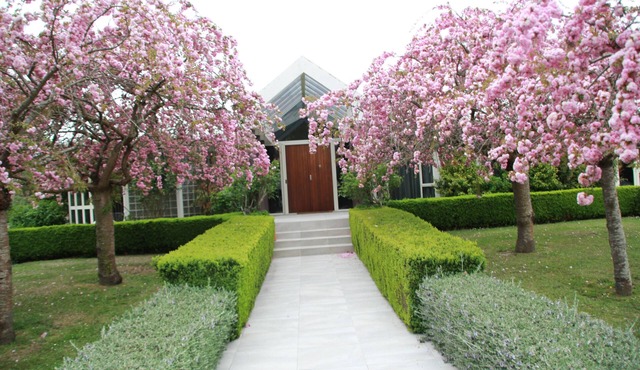 Silverstream Alpaca Farmstay and Tour