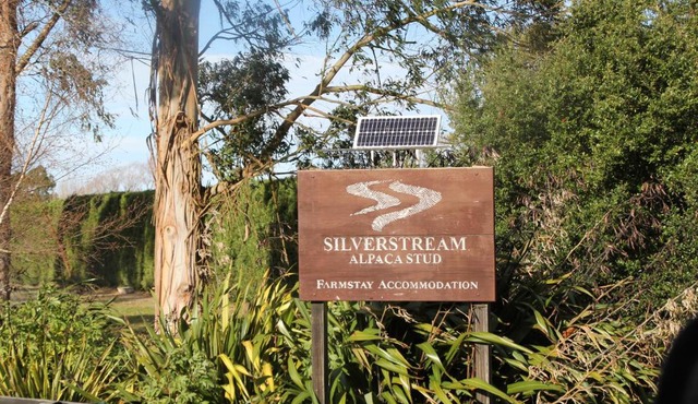 Silverstream Alpaca Farmstay & Tour