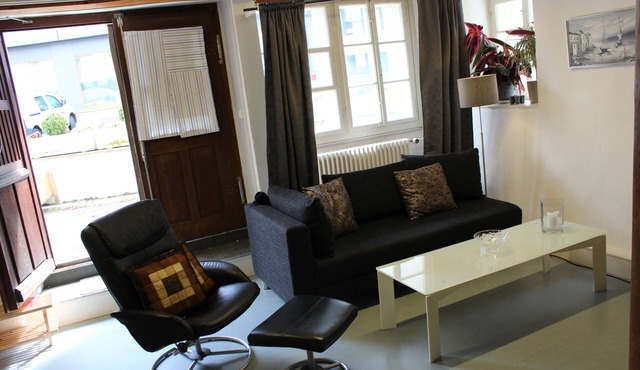 Simple but cosy studio in lovely Horgen, near the lake with WiFi access