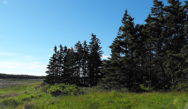 Simple Rustic Cottage