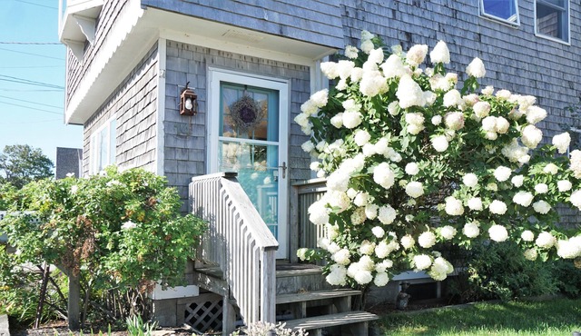 Simple Summer | Communal Yard | Beach House | Bayley Vacation Rentals