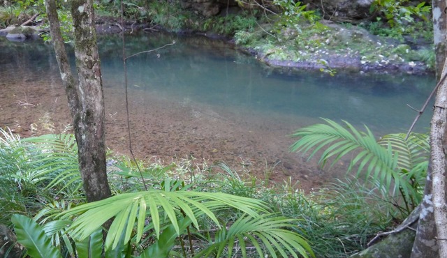 Sine Cera Rainforest Retreat