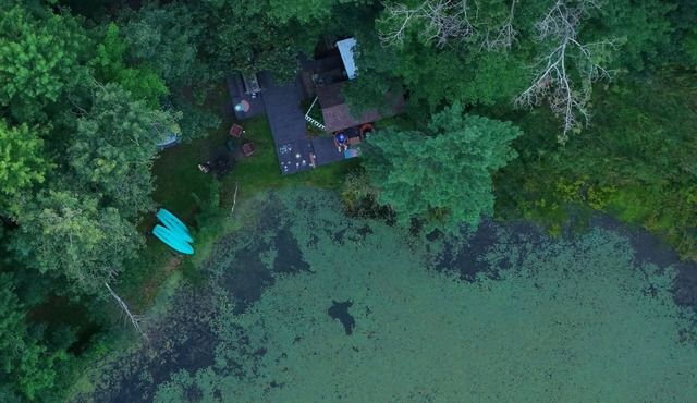Singing Frog tiny home/spa/breakfast