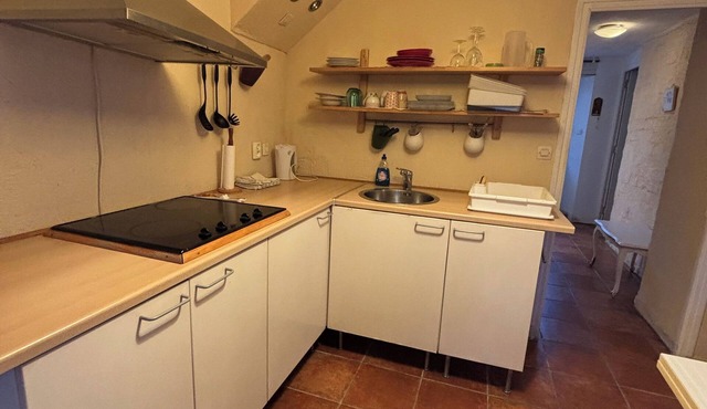 Single apartment in Presqu'île