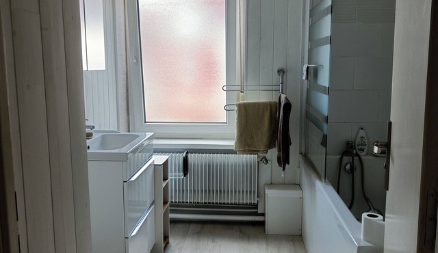 Single or double rooms near city center and liane 1