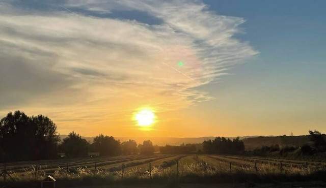 Single-storey family house