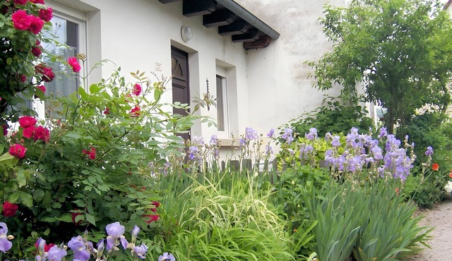 Single-Storey Gîte in Central Alsace near Sélestat