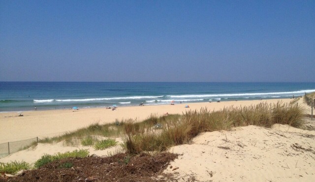 Single-storey house, entirely dedicated to relaxation near Contis