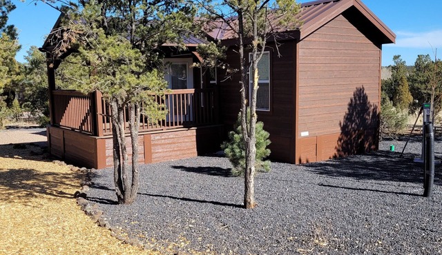 Single Story Cabin 2 Bed 1.5 bath Cabin w/Private Hot Tub & water splash pad!