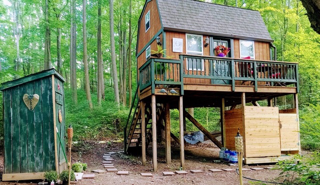 SIS's Treehouse Cozy & Charming located within forests on 26 acres Morgantown WV