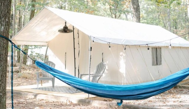 Site #36 Double Safari