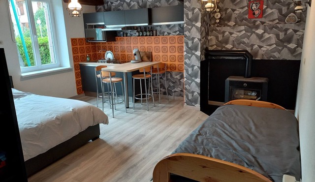 Situé à Champenay le Gite de La Falle Vous Propose un Studio Tout Équipé