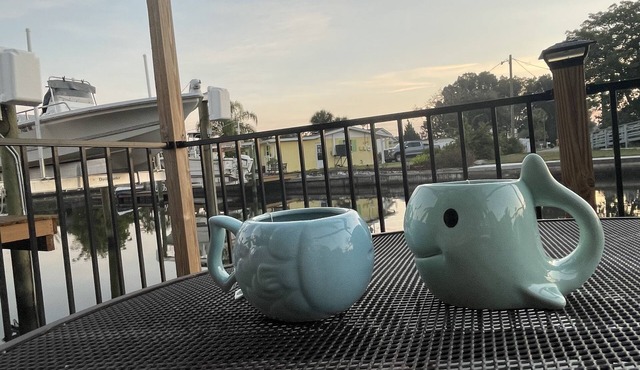 Situated on a canal that leads straight out to the Gulf of Mexico.