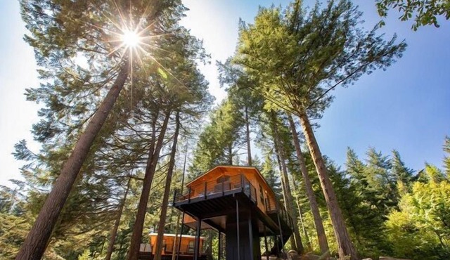 Skamania Lodge, Pet-friendly Unit, Free Parking, Pool, Spa, Hot Tub