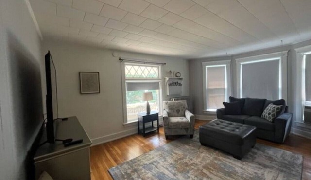 Skaneateles Village Life Unit 1