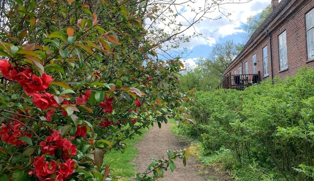 Skerrildgaard Gæstehus