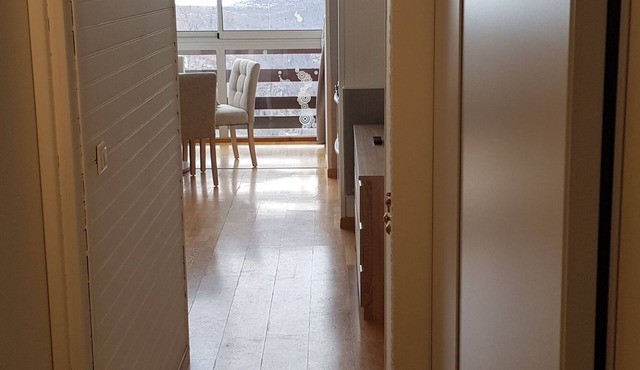 SKI APARTMENT AT THE FOOT OF THE SLOPES, MONTS D'OLMES (09)