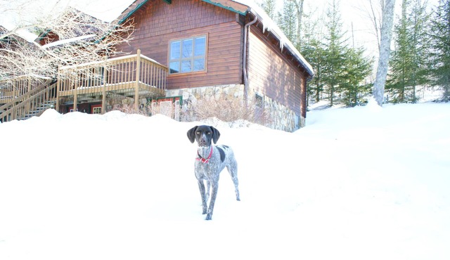 Ski cabin- Close, Comfortable, & well kept cabin- Family friendly