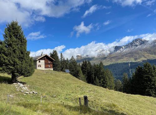 Ski cabin for 10 people right on slopes