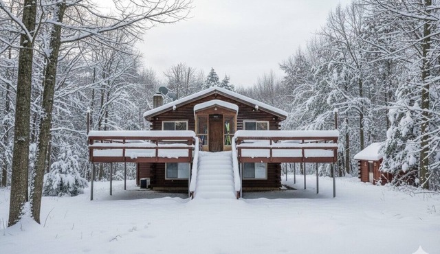 Ski Chalet. EV Charger Sauna,Hot Tub,Movie Room & Firepit. PET Friendly