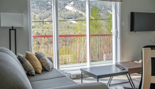 Ski Condo | Mont du Midi 56