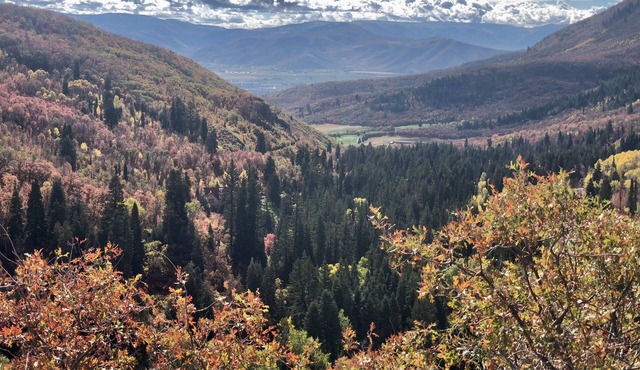 SKI Cool Cabin in the Woods
