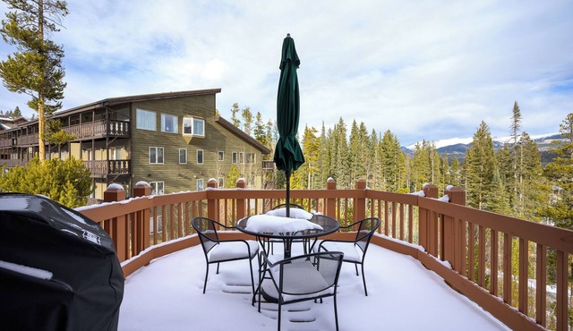 Ski House Hot Tub & Mountain Views