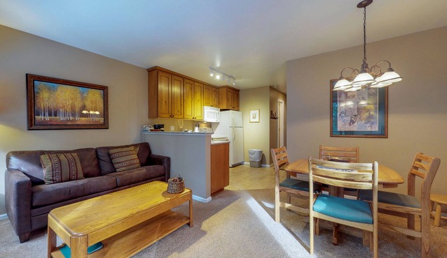 Ski-in dog-friendly condo with hot tub & sauna in great location