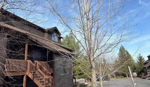 Ski in/out 2b2b at Hunter!