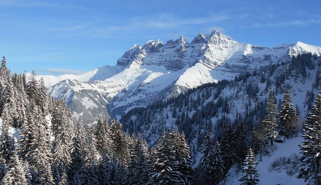 Ski in & out at Portes du Soleil, sunny Sunjacques facing Dents du Midi