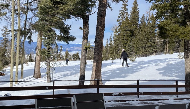 Ski-in/out at this Modern Chalet with breathtaking Wheeler Peak views!