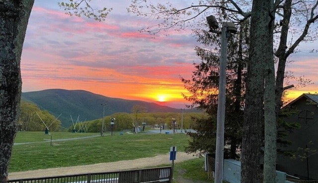 Ski In & Out Mountain & Firework Views Studio