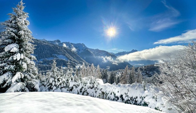 Ski in-out Sumptuous Chalet Breathtaking views