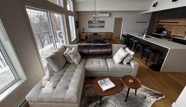 Ski-in Penthouse Condo MSA