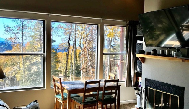 Ski in, Ski out Condo at Eagle Point Ski Resort. Sleeps 7.