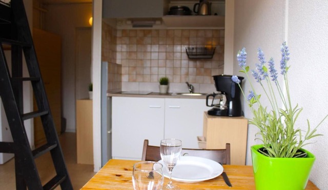 Ski-in/ski-out & foot of the slopes, 10th floor, view valley, tv, 17m², Superdévoluy