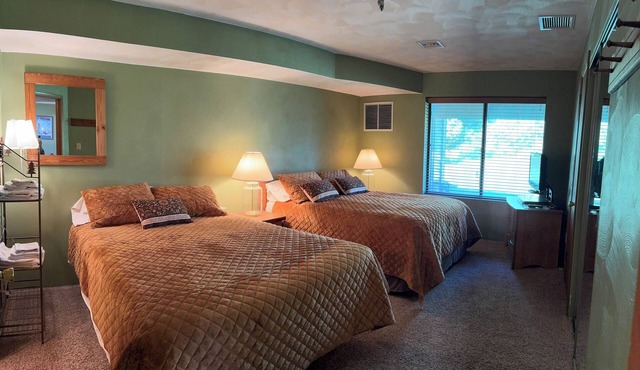 Ski- In, Ski- Out, Ground Floor, Wi-Fi , use of hot tub & fireplace in Lounge