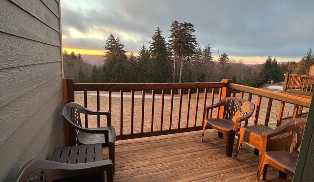 Ski in/Ski out Mountain Retreat! With abundant activities for all seasons!
