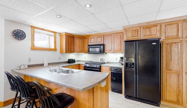 Ski-in/ski-out mountain-view condo next to Grammy Jay trail w/board games, W/D