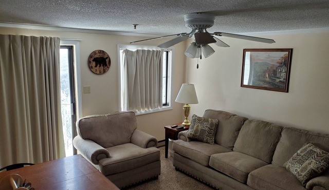 Ski In/Ski Out. Next to the village. Gated parking. Mtn views. Free Wi-Fi. #284