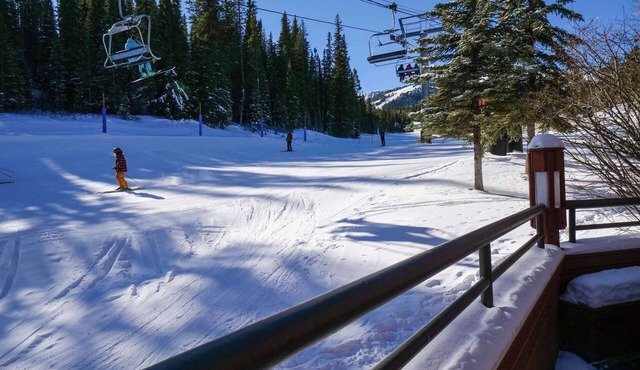 Ski In Ski Out Studio, Dog Friendly, Hot Tubs, Building 4
