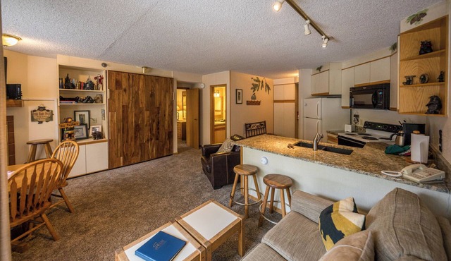 Ski-in Ski-Out studio with updated interior