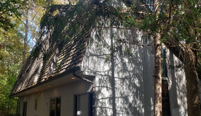 Ski Lodge Meets Tree House. Pet Friendly!