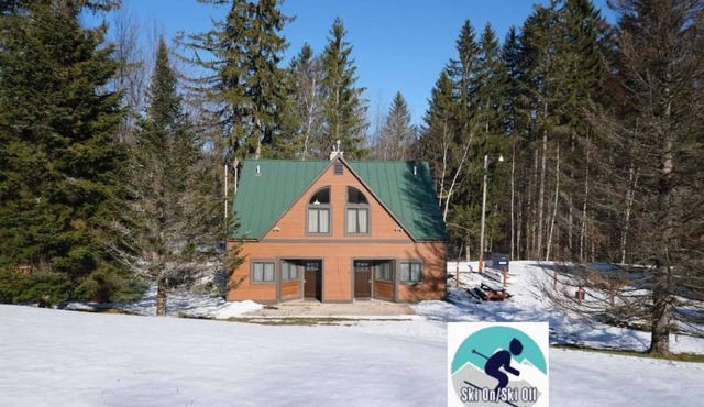 ☆ SKI ON & OFF! ☆ Spruce Glen Cabin 1 on Great Eastern w/AC, Sauna, Fireplace