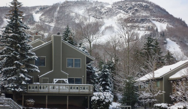 Ski on Ski off 4BR Hunter Highlands Condo Super Clean! Big roomy