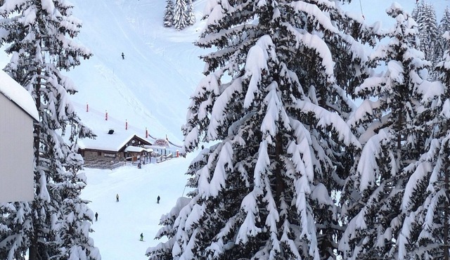 Ski Studio Apartment In Flaine Foret, Near Shops, Restaurants And Activities