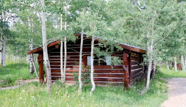 Skiers Cabin - A Cozy Historic Full Log Cabin
